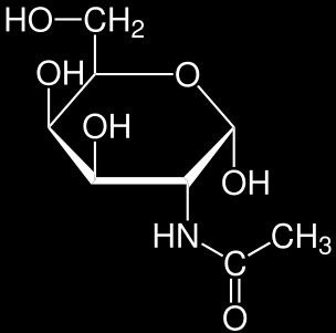 acetylována ve formě N-acetylderivátu jsou součástí některých