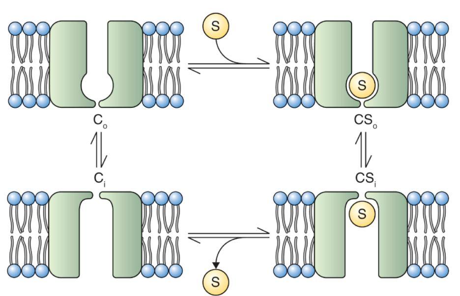 e) Přenašeče a co-transportéry, mediátory difúze a sekundární aktivní transport 12 Přenašeče a co-transportéry hrají úlohu v příjmu anorganických látek, včetně NH 4+, NO 3-, SO 4 2-, H 2 PO 4-.