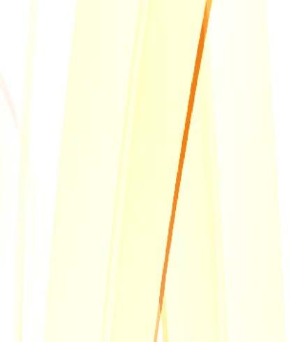 SHINY 4911-38 x 14 mm 491-47 x 18 mm
