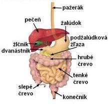 uplatňujú kontaminované potraviny/voda,