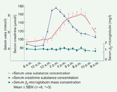 The effect of a meal of stewed meat given at 12:00 h on serum