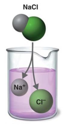 Iontová chromatografie 1 - ANORGANICKÉ IONTY 2 ORGANICKÉ IONTOVÉ A POLÁRNÍ LÁTKY 1. Fluoride 2. Chloride 3. Nitrite 4. Carbonate 5. Bromide 6. Sulfate 7. Nitrate 8. Phosphate Peaks: 1. Oxalic 5.