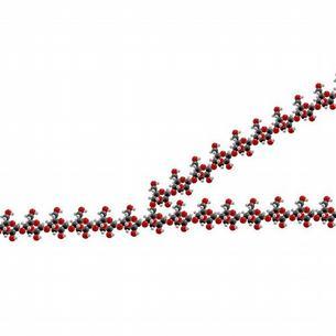 Glykogenosy Glukosa: primární zdroj energie pro eukaryotní buňky wikipedia Glykogen: makromolekulární zásobní forma glukosy Syntéza glykogenu začíná na proteinovém primeru - glykogeninu Ve svalu: β