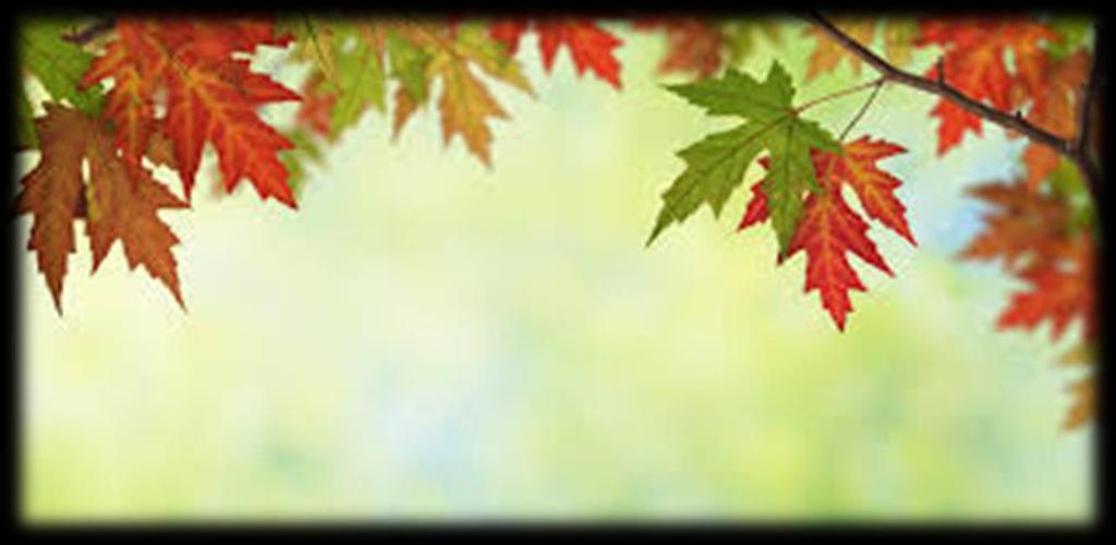 Willkommen bei den Küken 2015/16,,Der Herbst, der Herbst, der Herbst ist da!
