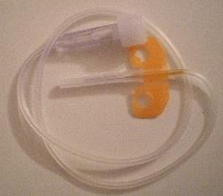 4. Hmotnost U všech králíků byl také během obou experimentů sledován váhový přírůstek, který mohl být negativně ovlivněn infekcí.