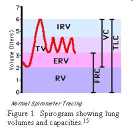 Objemy: TV = 500 ml ERV = 1 200 ml IRV = 3 000 ml RV = 1 200 ml Normální hodnoty jsou individuální podle věku váhy, výšky.