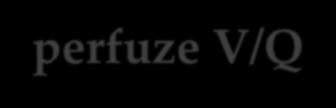 Poměr ventilace perfuze V/Q Jen dobře ventilovaný a dobře prokrvený (perfundovaný) alveolus je funkční, tj. může tam probíhat difuse.