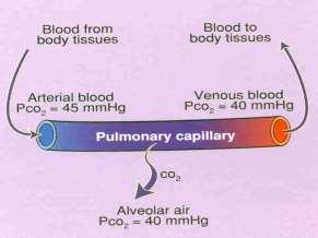 Úroveň P CO 2 40 Alveolární