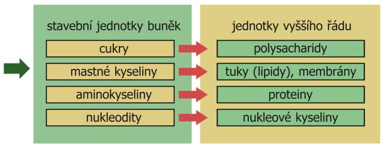 Čtyři nejdůležitější skupiny