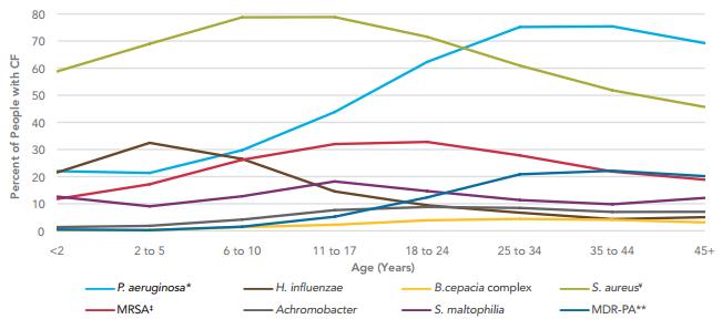 prevalence jedlotlivých bakterií u pacientů s CF věk pacientů (roky) Obr. 1: Zastoupení bakterií v DCD pacientů s CF podle věku (S. aureus světle zeleně). Pozn: V křivce S.