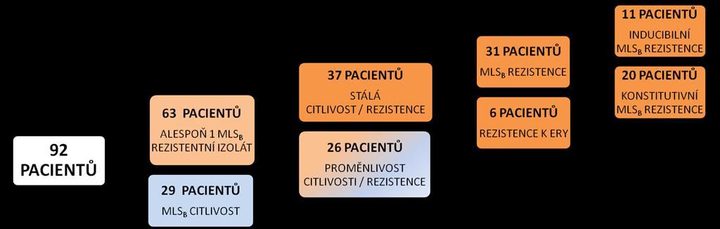 Nahoře schematické znázornění detekované citlivosti / rezistence k MLS B antibiotikům, přičemž mezi pacienty s MLS B rezistentními kmeny řadíme i pacienty s alespoň jedním rezistentním izolátem za