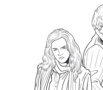 C) Cestou ke Kameni mudrců museli Harry, Ron a Hermiona splnit,