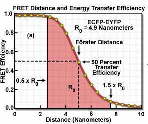 Měření vzdáleností pomocí FRET je nejpřesnější v okolí R 0 přesnost je obvykle rozumná pro 0,5 R 0 až 2 R 0 http://www.