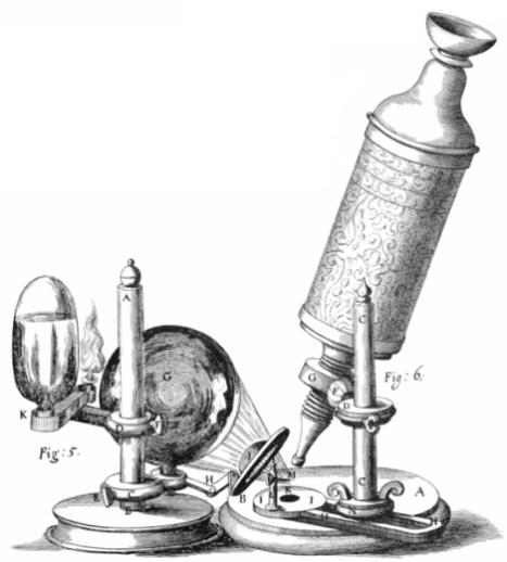 Světelná mikroskopie První funkční mikroskop přelom šestnáctého a sedmnáctého století Z.