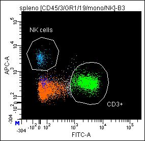 PerCP=CD45, FITC=CD3,