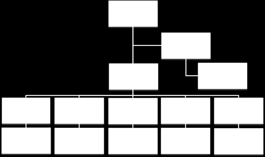 Basic Organization