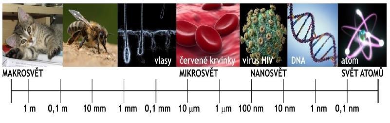 1 ÚVOD Nanotechnologie jsou v dnešní době často skloňovaným pojmem v mnoha vědeckých oborech. Za nanočástice považujeme entity, jejichž velikost je od 1 do 100 nm.