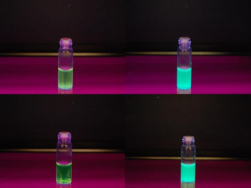 Obrázek 19: Připravené QDs pod transluminátorem (nahoře zleva MPA-CdTe, MSA-CdTe, dole zleva GSH-CdTe, ZnSe/CdTe), vlastní zpracování 9.