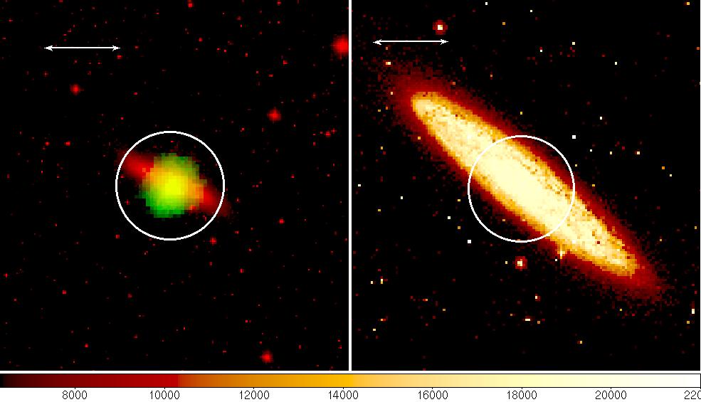 M82 vs. NGC 253 0.1O 0.