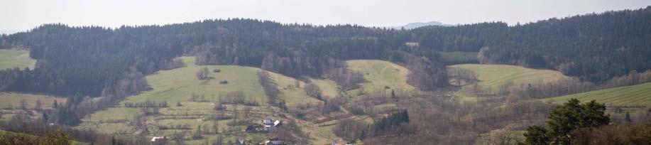 Obr.6 Rozsochy v