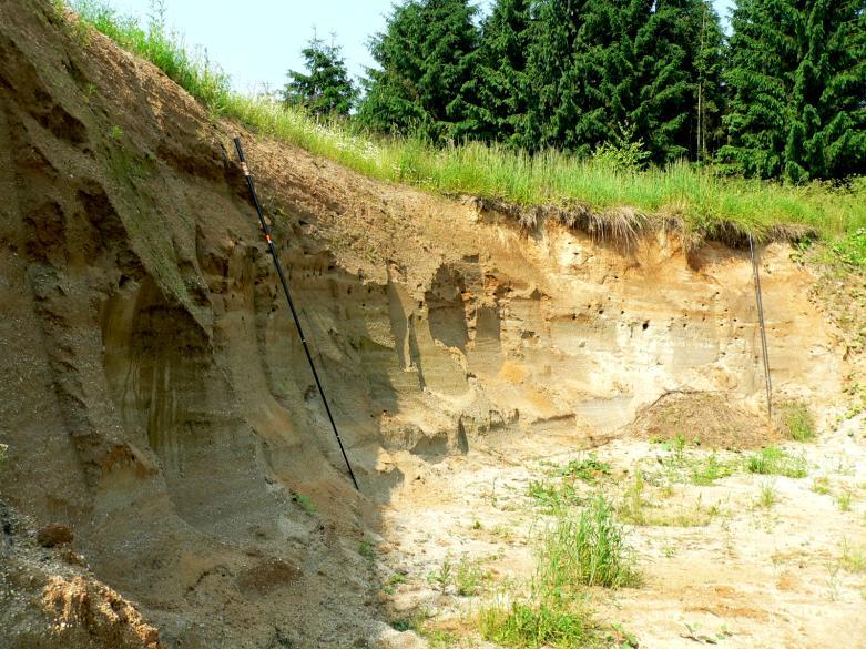 Heneberg, P. (2010): Analýza vlivu managementu břehule říční na Apocrita 10 3.4 Třebeč, CB Pískovna nacházející se V od obce Třebeč.