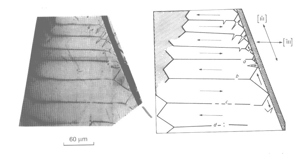 1. Základní principy magnetismu a magnetická susceptibilita Feromagnetismus Ferimagnetismus