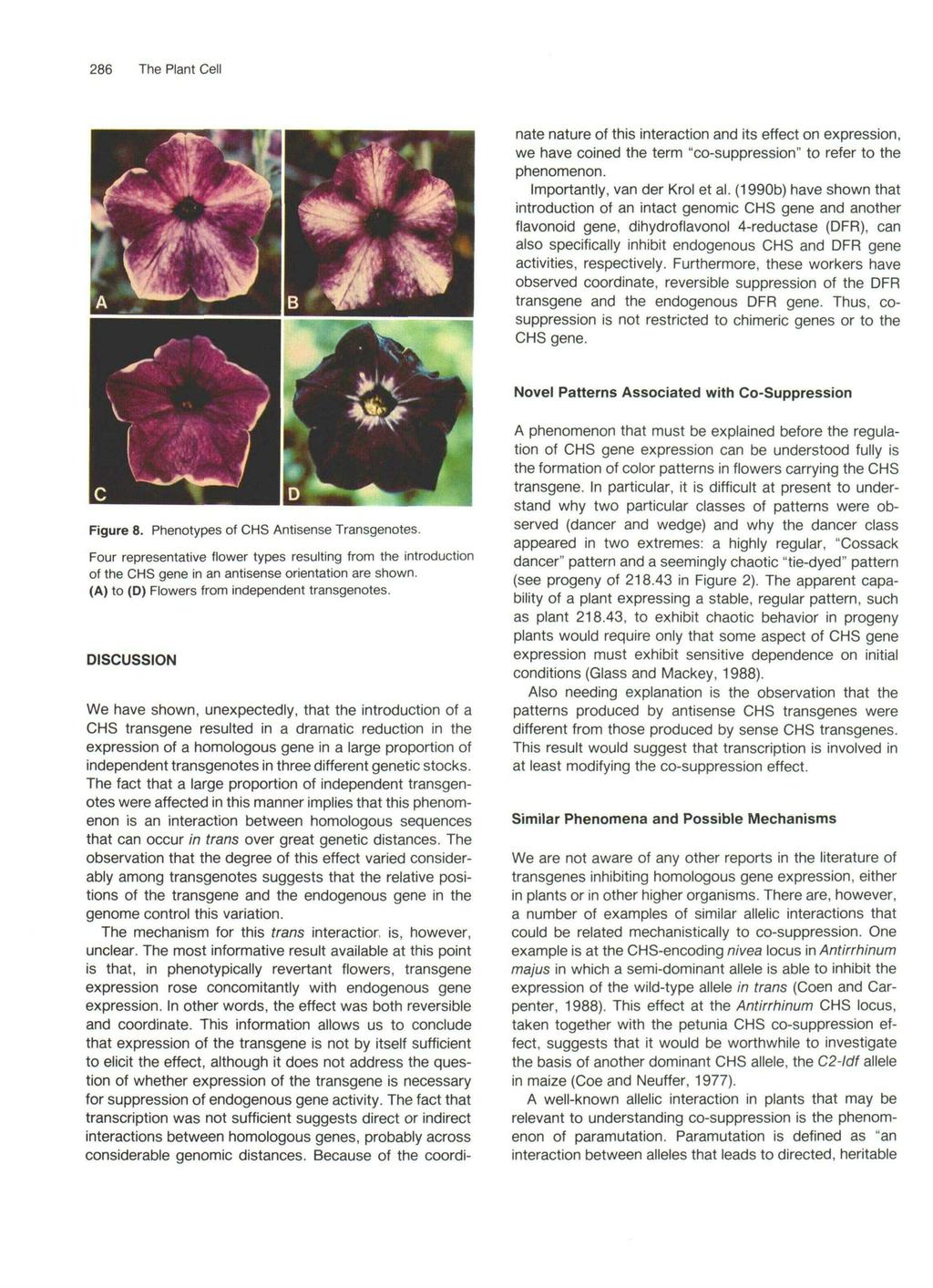 heterochromatinu (zamezení přístupu TF) PTGS: PostTranscriptional Gene Silencing Gen je