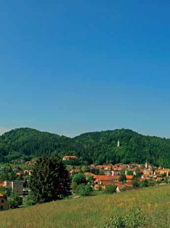 ... že od leta 1956 Za življenje polno energije. Za občutek svobode in zadovoljstva. Za uresničevanje naših potreb in želja.