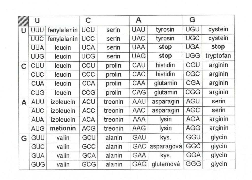 Genetický kód - kódování prostřednictvím esenciálních aminokyselin: Sekvence AUG (pro metionin) od
