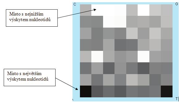 5.2 FGCR (Chaos Game Representation of Frequencies) FGCR je modifikovaná metoda CGR.