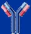 tyrosine kinase inhibitors -ibs