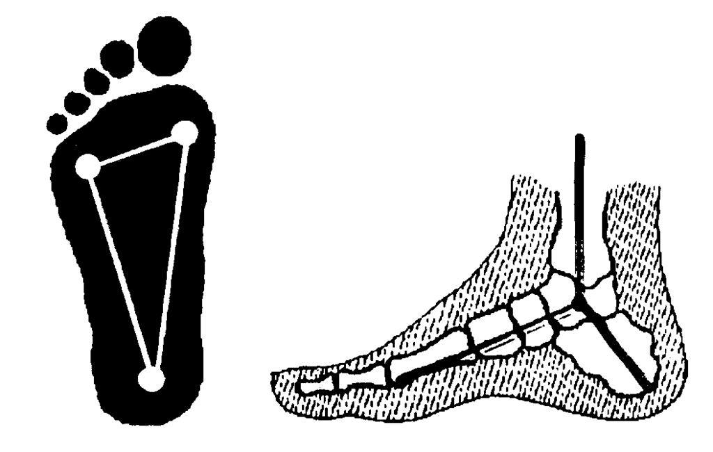 Schéma zatížení nohy SATICKÝ TROJÚHELNÍK: A B A
