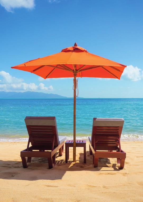 se baigner ( = être dans l eau, nager et jouer) bronzer faire des promenades en bateau faire du canoë, du rafting pêcher (un poisson) faire un château de sable à la plage descendre une rivière fai re