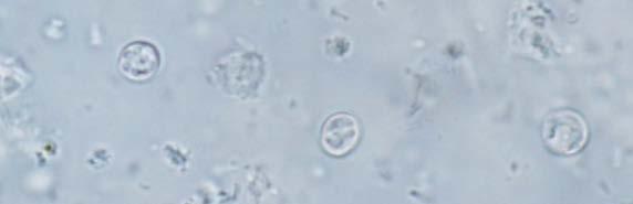 1.
