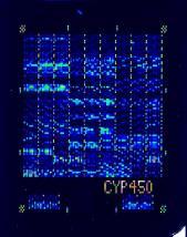 a CYP2C19 první komerčně dostupný mikroanalytický farmakogenetický test určený