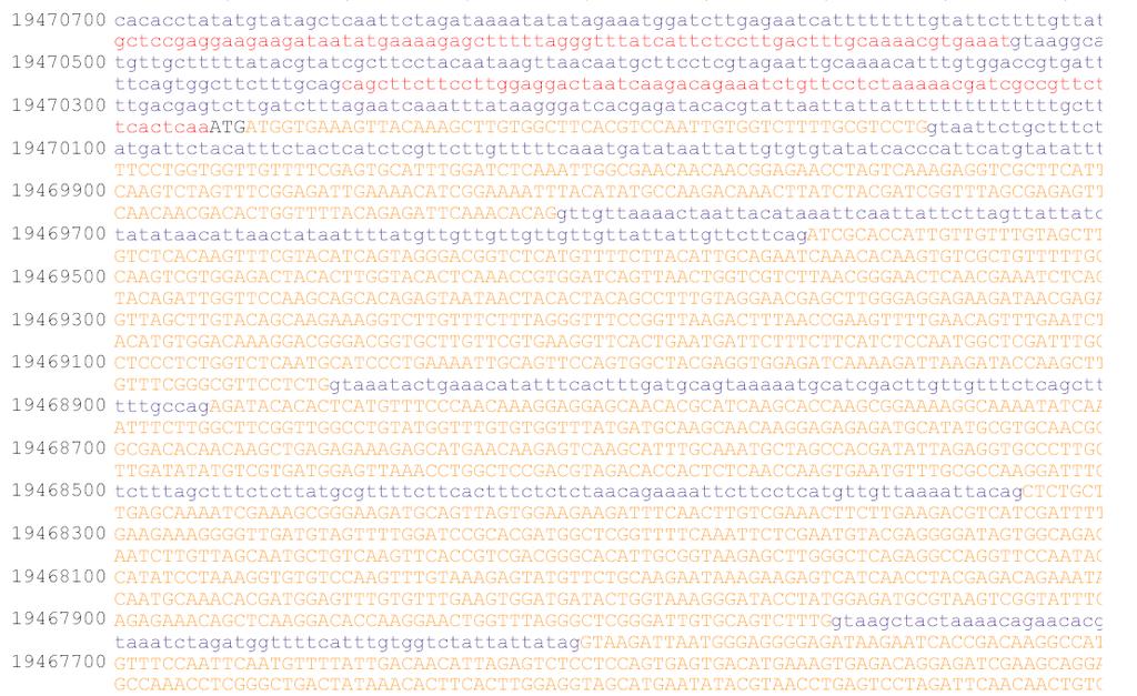 Anotace genů a odhad aminokyselinových sekvencí předpokládaných proteinů Postgenomová éra a co s informacemi, které neumíme číst dnes