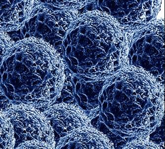 Fázové a chemcké ovnováhy v nanosystémech Jndřch Letne Ústav