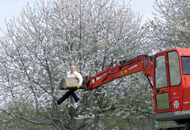 vybrala slavíka a skřivana, což znamená, že kdokoli se může zamilovat do kohokoliv bez ohledu na to, kdo je nebo jaký je... Isi Kunath http://www.isi-kunath.