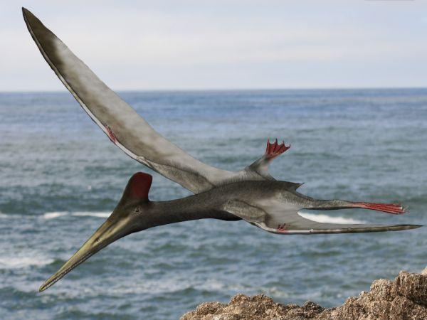 Ptakoještěři Pteranodon Pterodactylus Quetzalcoatlus