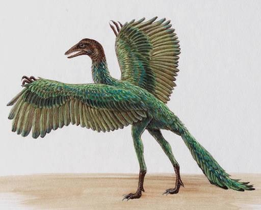 Ichtyosaurus první ptakoještěři Dimorphodon první ptáci (praptáci) Archaeopteryx Dimorphodon
