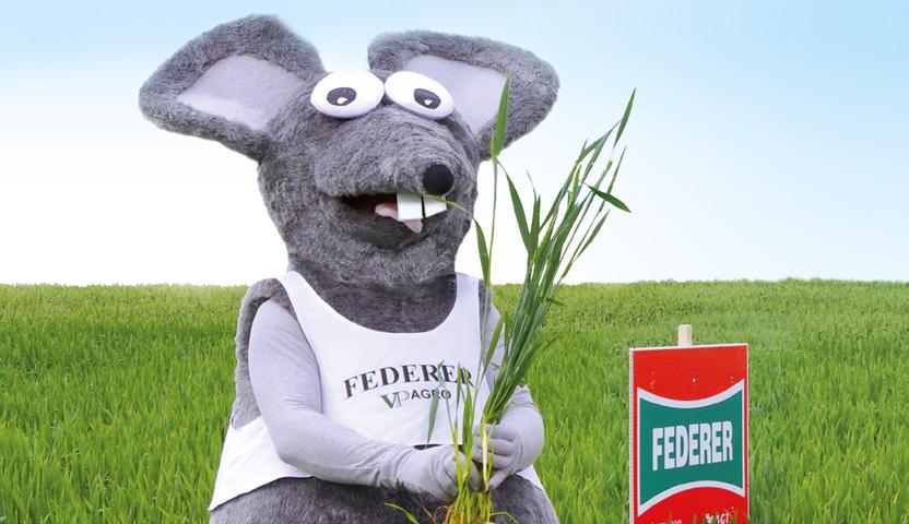 Po každom zo svojich rodičov (Banquet x Ludwig) získal Forhand celý rad významných znakov. Dĺžkou stebla, potravinárskou kvalitou, plasticitou aj v horších podmienkach pripomína skôr odrodu Ludwig.
