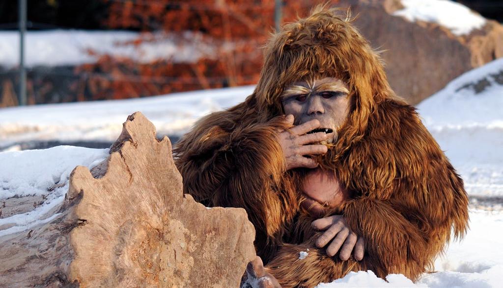 Yetti C...bol spozorovaný! Vyšľachtený! Grizzly C kŕmna odroda s medveďou silou!