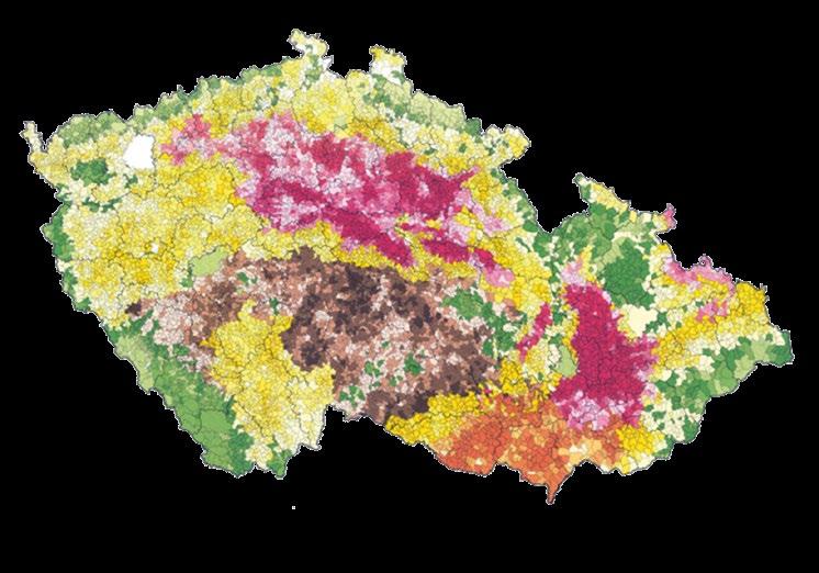 poloneskorá až neskorá odroda so špičkovou úrodou úrodový potenciál pre rekordnú žatvu (najúrodnejšia pšenica v ŠOS 2010 2012 zo všetkých skúšaných odrôd) veľmi dobré prezimovanie odolnosť proti