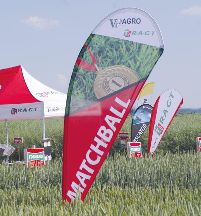 A Objem pečiva (ml) MATCHBALL 343 12,8 35 773 57,3 553 Kvalita E A A E A A sejba po obilnine, prísuškové oblasti, vysoká intenzita, neskorá sejba Pestovatelia Matchball chvália! Ing.