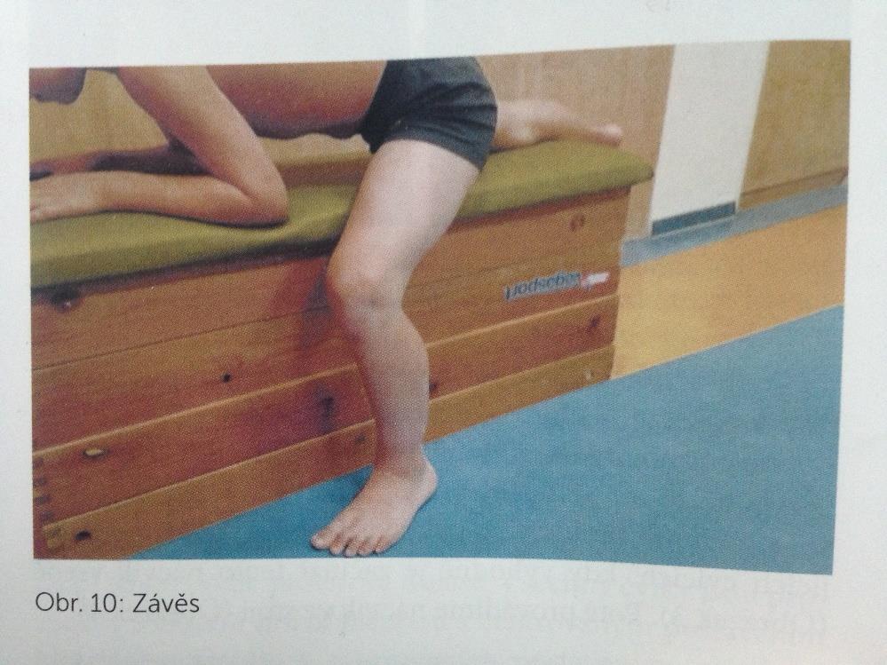 Příloha 7 Závěs