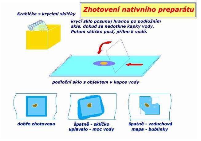 Obr.: Postup přípravy preparátu