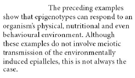 Environmentálně indukované dědičné epigenetické změny, příklady: - četné jsou případy dědičných změn u krytosemenných rostlin