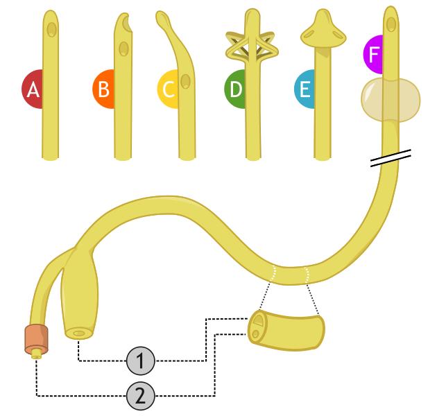 Typy katétrů: A:Nelatonův B:Couvelaireův C:Thiemanův D:Malecotův