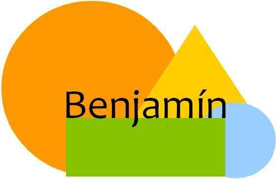 4 PŘÍPADOVÁ STUDIE DÍTĚTE S PAS 4.1 Příspěvková organizace Benjamín Obr. 1. Logo zařízení (Převzato z: Příspěvková organizace, Benjamín. 2009) MOTTO: Nenacvičujeme běžný život my ho žijeme!