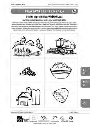 6. Chleba Příběh chleba začíná od semínka obilí, které farmář zaseje do předem připravené, zorané a pohnojené půdy.